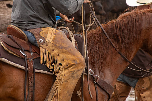 istock Cowboy Culture 2246257913