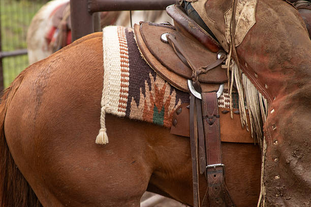 Ranching, cattle, ranch horses, ranch cats, and cowboys