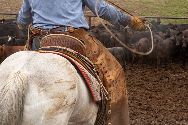 istock Cowboy Culture 2246257966