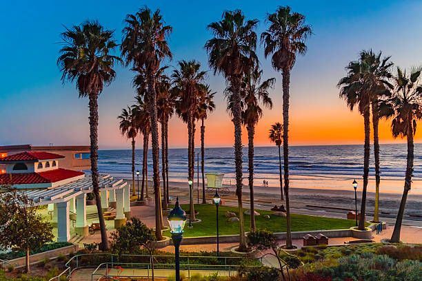 istock Sunset at Oceanside shoreline with palm trees at public park. 2246259466