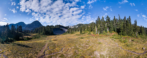 istock Panoramic Mountain Meadow With Conifer Forests Under Bright Sky  Rustic Landscape Of British Columbia 2246260604