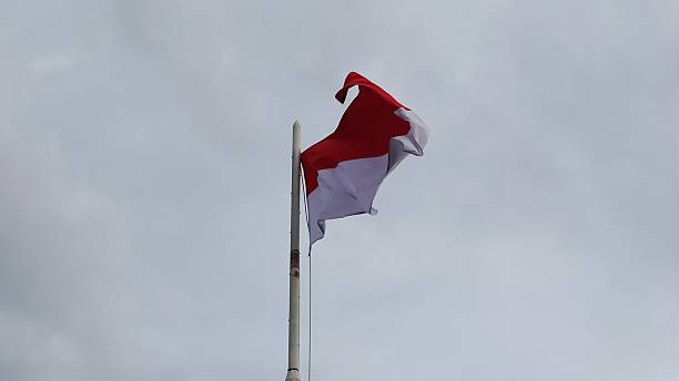 istock Red and White Flag Against Cloudy Sky 2246261337