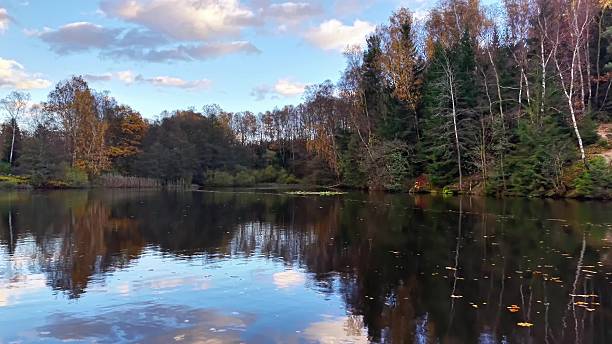 istock colorful trees mirror serene waters, tranquil autumn scenery featuring vibrant foliage and sky 2246261694
