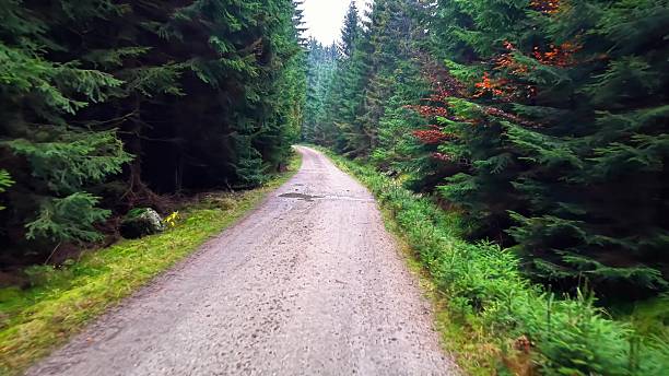 istock overcast landscape with muddy tracks, damp mossy edges surround rugged offroad pathway scene 2246261749