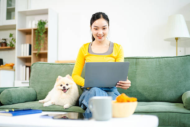 istock Asian woman multitasking with laptop and phone while relaxing on sofa with dog. Cozy home lifestyle with pet companionship 2246268043