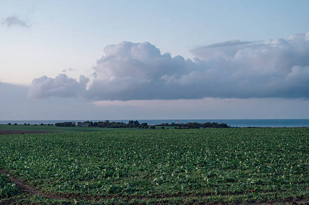 Coastal Fields and Lighthouse near Heiligenhafen, Schleswig Holstein in Heiligenhafen, Schleswig-Holstein, Germany