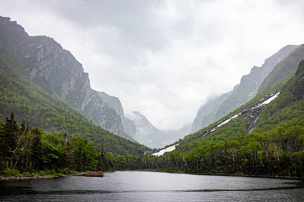 istock Western Brook Pond Misty Valley 2246271665