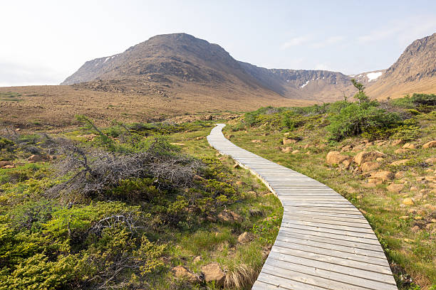 istock The Tablelands Region with a Wooden Boardwalk 2246271676