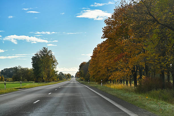 istock Autumn Road Scene With Colorful Fall Trees Along a Long Open Highway 2246273553
