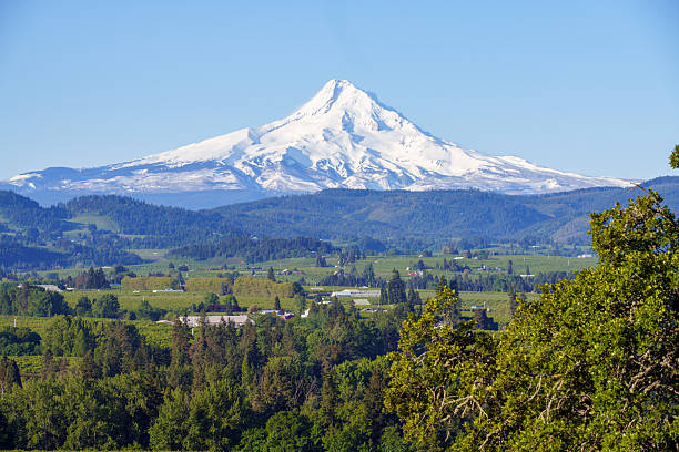 istock Mt Hood covered in snow. 2246281020