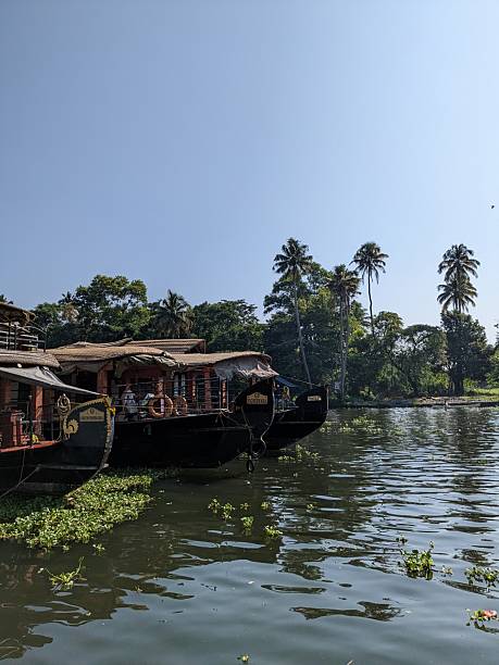 istock Tranquil riverside with houseboats and palm trees 2246292020
