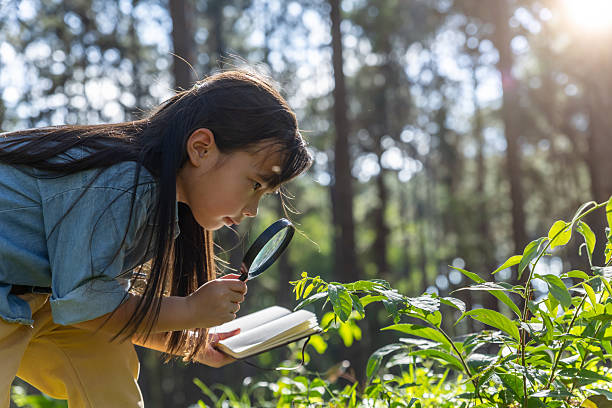 Child girl using a magnifying glass and notebook in the forest for learning and exploring nature.