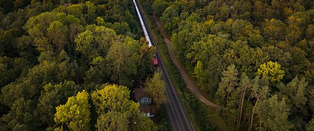 istock Aerial view of train in lush forest. 2246300020