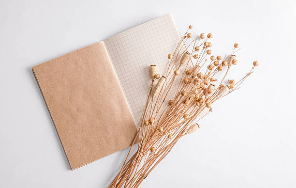 istock Notebook with dried herbs on a white background. Herbarium, natural, eco concept. 2246300771