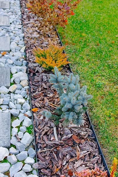 istock Garden path with decorative landscaping mulch and plants 2246303924