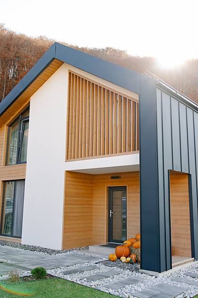 istock Modern house facade with wooden accents. 2246303977