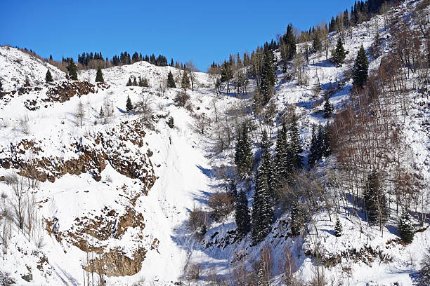 istock Medeo. A mountain gorge, with different vegetation and fir trees. First snow. 2246304036
