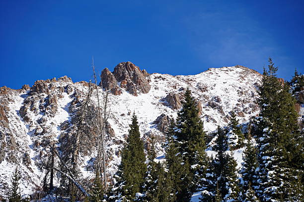 istock Medeo. A mountain gorge, with different vegetation and fir trees. First snow. 2246304157