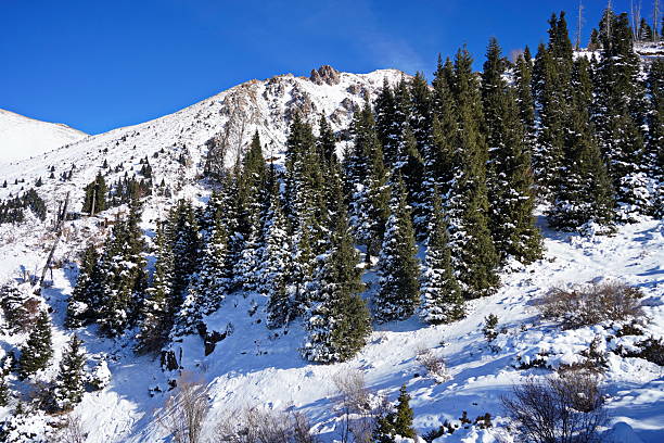 istock Medeo. A mountain gorge, with different vegetation and fir trees. First snow. 2246304176