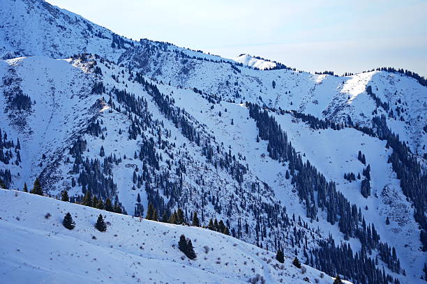 istock Medeo. A mountain gorge, with different vegetation and fir trees. First snow. 2246304270