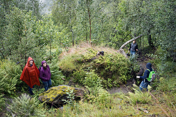 istock Group of hikers navigating Munketrappene (Monk's Steps) trail in lush forest. 2246310168
