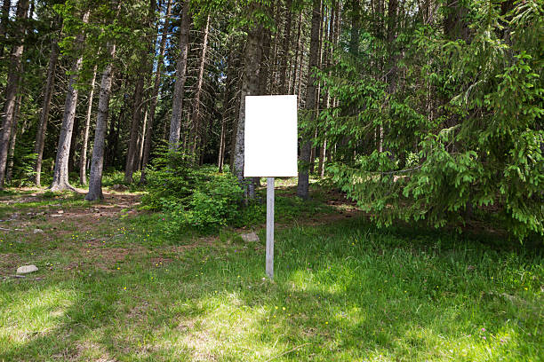 istock Empty white board in nature.Background for design, empty white billboard in the forest. 2246310636