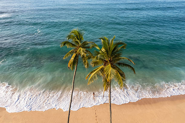 istock Exotic Seaside Landscape With Palm Trees And Waves On Tropical Beach 2246310707