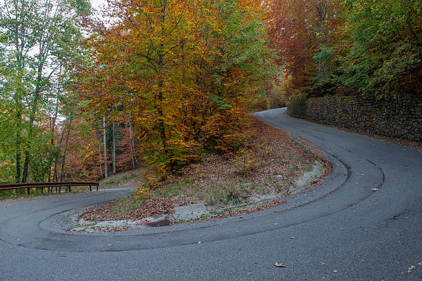 Trees with leaves of many colors in the autumn season