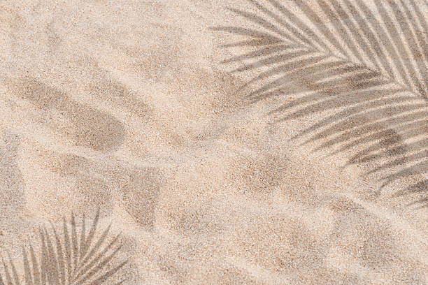 istock Sand texture background,Summer beach with tropical coconut palm leaf shadow on brown sand background. Nature background of Minimal sunlight over lay on sand dunes for Summer holiday, vacation, travel 2246313307