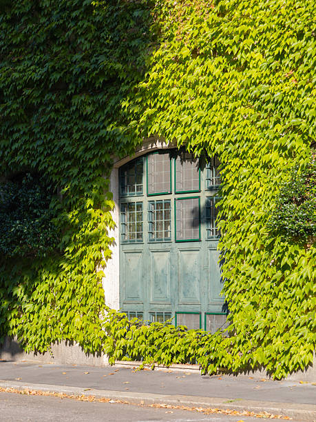 istock an old house overgrown with green plants 2246314136