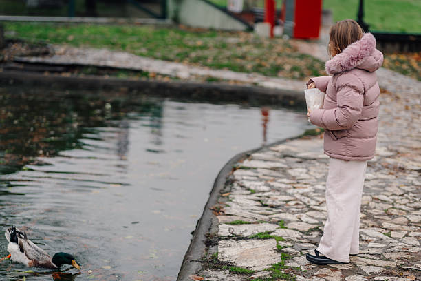 istock Child feeding ducks in park pond 2246321050