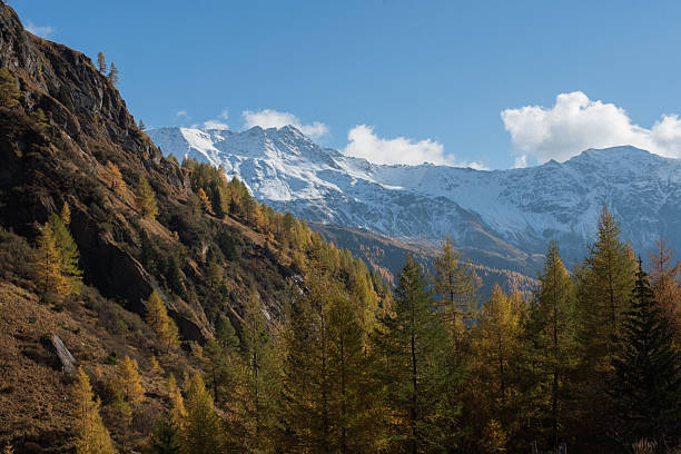 istock Snow peaked mountains and autumn forest 2246323467