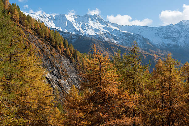 istock Snow peaked mountains and autumn forest 2246323537