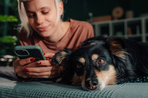 istock Woman using smartphone next to her resting dog 2246327789