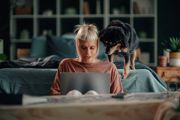 istock Woman working from home with pet dog 2246327845