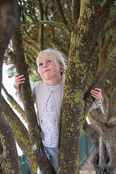 European Blonde Girl Climbing a Tree. High quality photo