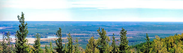 colorful autumn landscape, view from a high point, South Ural mountains, combination of yellow and green colors, treetops