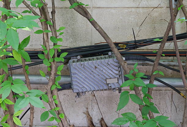 istock CATV amplifier in garden 2246334614