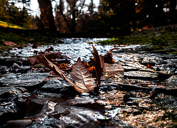 istock Ankara Seymenler Park 2246335613