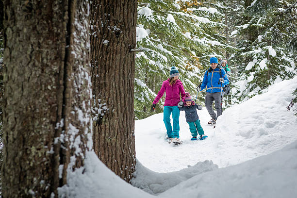istock Family snowshoes through forest 2246335799