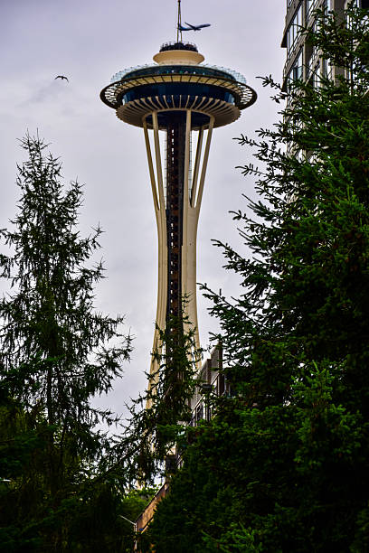 Overcast Morning In Downtown Seattle Washington On June 27, 2025