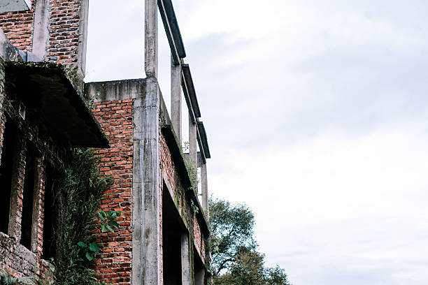 An old abandoned building with red brick walls and concrete framework is visibly decaying, now covered with lush green plants and vines reaching towards the cloudy sky.