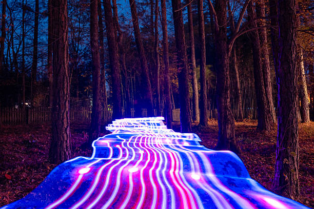 Light painting in the forest to illustrate the balance between technology and sustainable growth