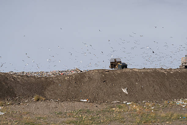 An aerial shot of a landfill in Novato on a sunny day in Marin County, California.