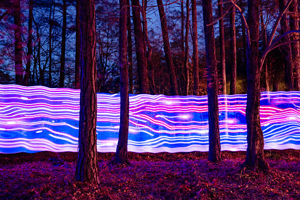 Light painting in the forest to illustrate the balance between technology and sustainable growth