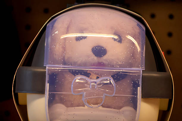 istock A dog toy in a carrier 2246354852