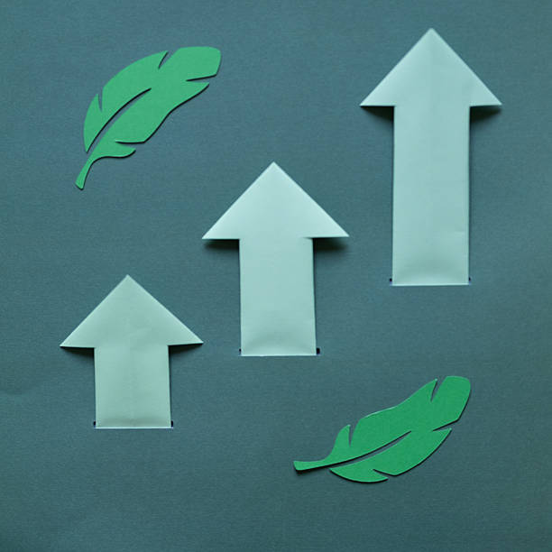 Arrows depicting growth
