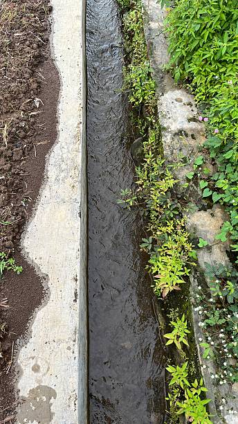 istock shallow stream water with green grass on riverbank 2246361938