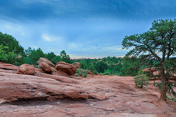 Horizontal shot of several different rocks in a red rock bed with a variety of desert plants in the background in the Garden of the Gods.