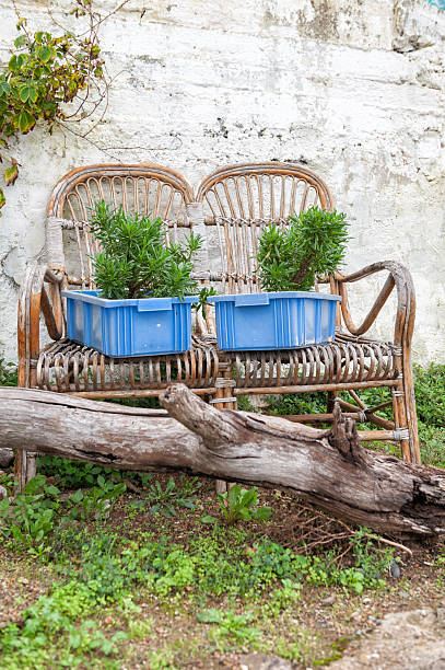 istock Rustic garden scene with rattan chair, blue containers, and greenery 2246368457